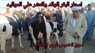 اسعار البقر الوالد والعشر علي المواليد داخل سوق الخميس بمحافظة أسوان اليوم ٢٠٢٤/٥/٩