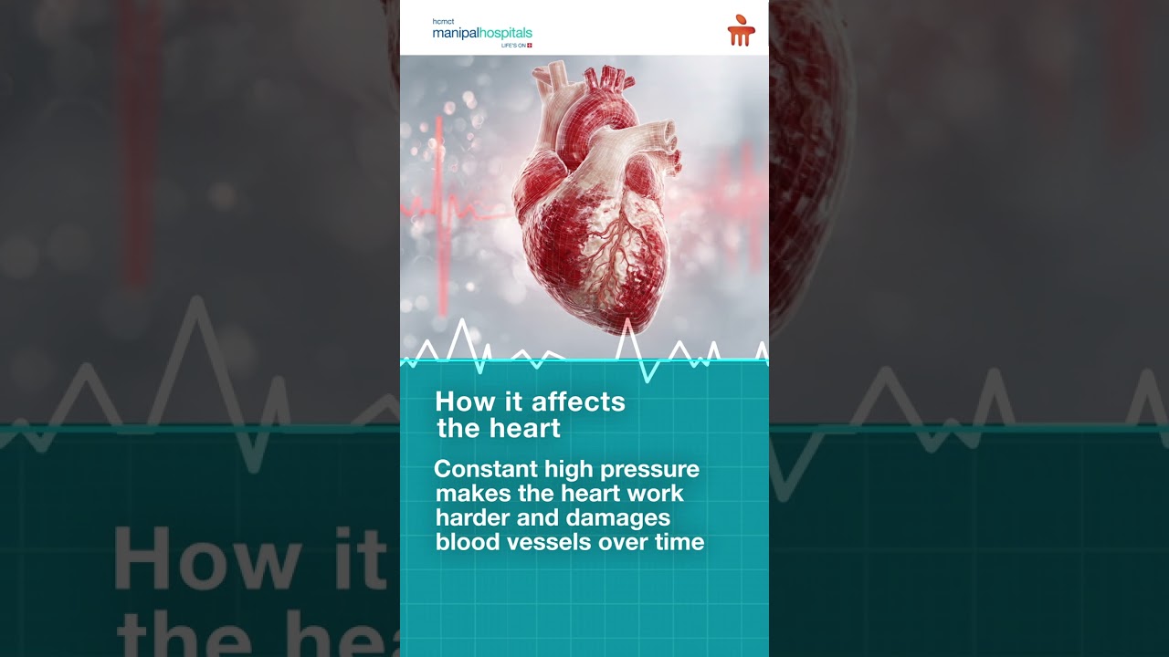 What is Hypertension? adlı videoyu YouTube'da izle What is Hypertension? adlı videoyu YouTube'da izle