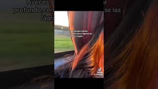 YO EAA EN ESTOS MOMENTOS