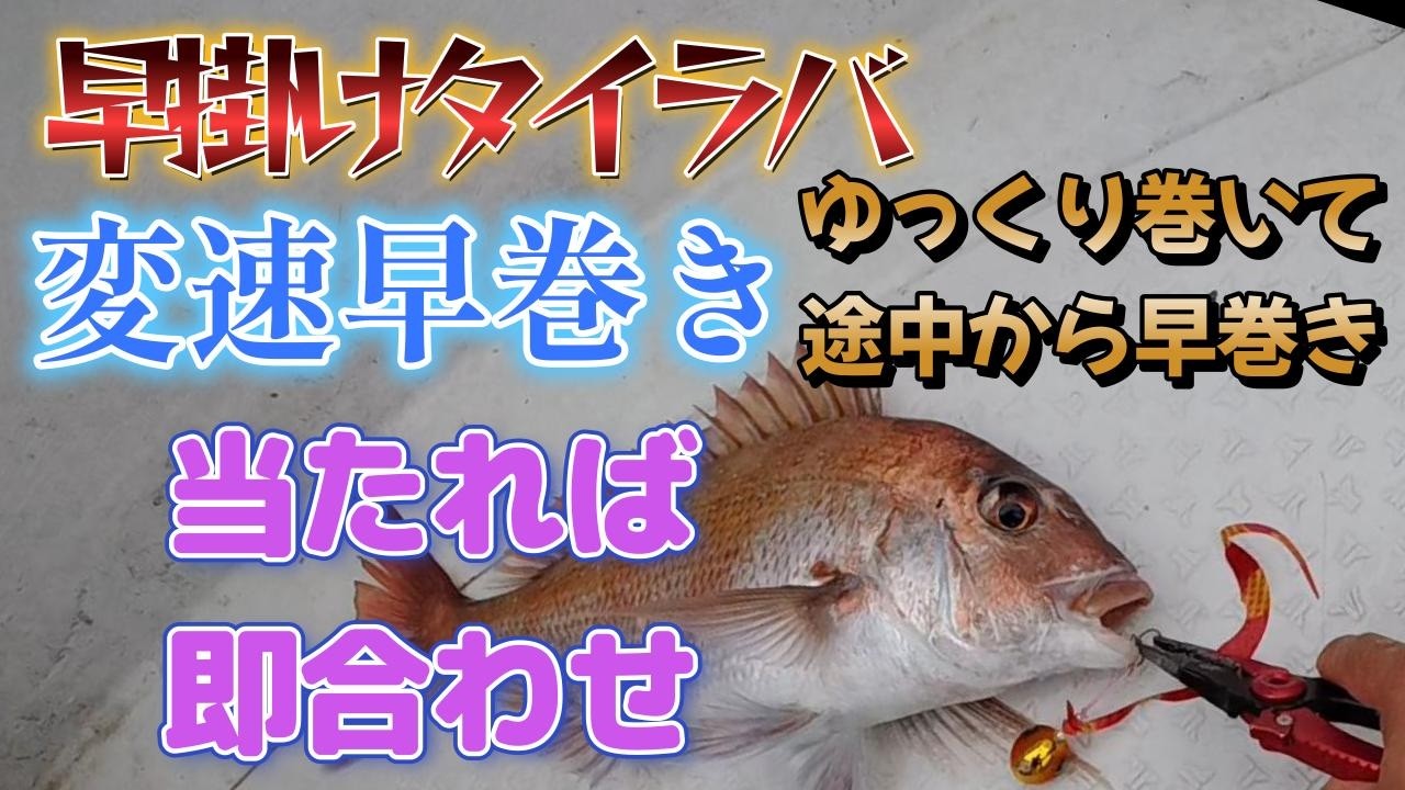 タイラバ　最終 早掛けタイラバ】変速早巻き結構いいかも！即合わせ!! - YouTube