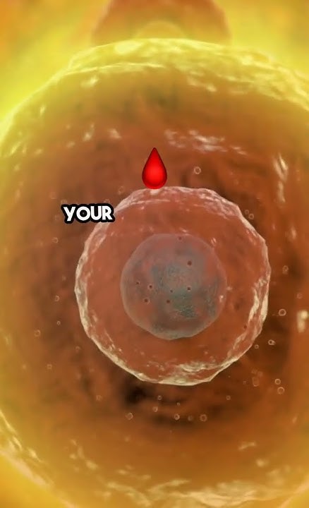why-does-body-temperature-rise-during-fever-lets-understand-why