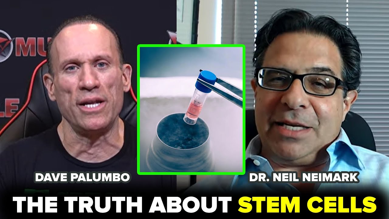 STEM CELLS: THE REAL SCIENCE