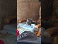Ref:PXqjd7NMHwc Dim. 05/10/25 : toute la famille est calme et pose , en ce dimanche midi !