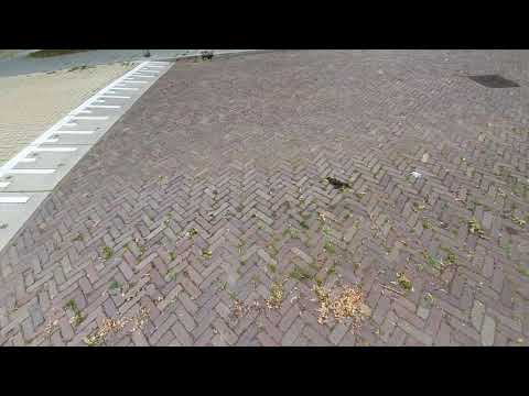 Plastic zwerfafval in Oegstgeest, wat doen we eraan?