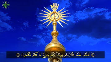 الصفحة 11 | سورة البقرة
