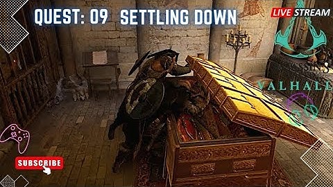 Settling Down | Assassin