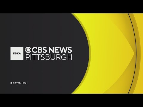 Pennsylvania bear that attacked 2 children captured and euthanized