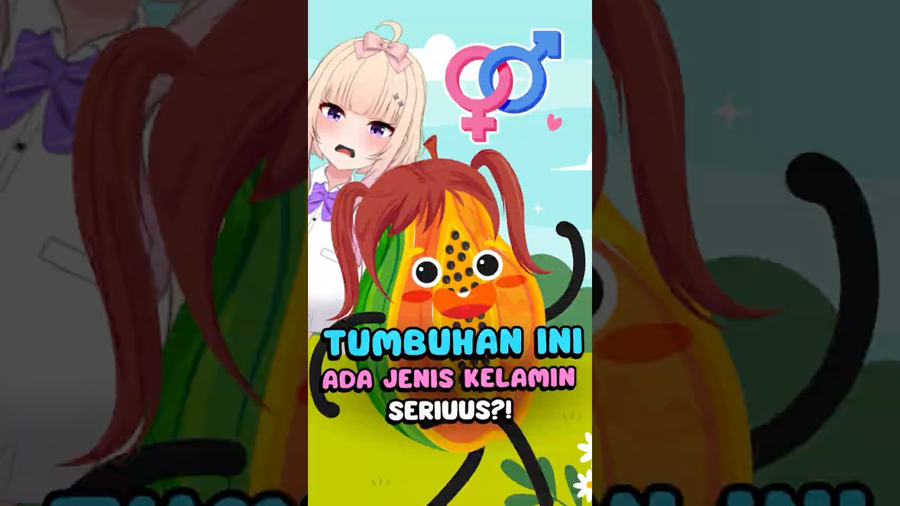 ‼️SERIUUS? Pepaya Memiliki Jenis Kelamin! #shortsvideo #faktaunik #pepaya #aggc