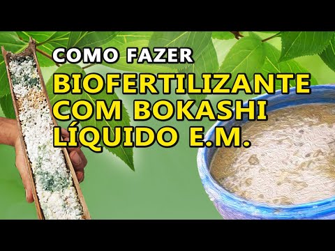 Vídeo: Carambola: Que Tipo De Fruta E Como Comê-la?