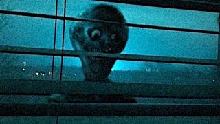 Top 5 Alien Encounters The Government Tried To Hide