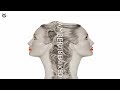 Amber - This is Your Night (Mousse T Remix)
