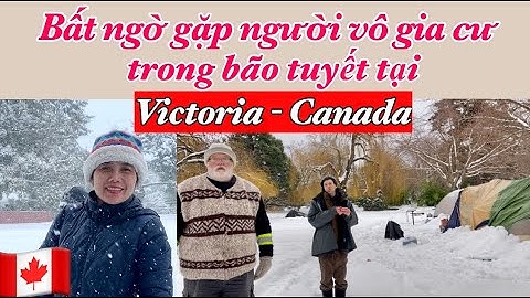 Bất ngờ gặp người vô gia cư trong bão tuyết tại Victoria-Canada || Cuộc sống Canada.