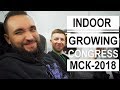 Влог: Moscow International Indoor Growing Congress 2018 / Mr.GrowChannel