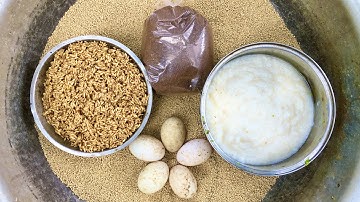 Mồi Câu Cá Trắm, Chép, Mè Vinh, Rô Phi Sông Hiệu Quả Và Dễ Làm