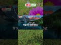 সূরা  আন নাস | জাদু, জিন ও মানুষের বদনজর  থেকে নিরাপদে থাকার জন্য | Surah Nas by Alaa Aqel
