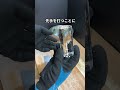 我が家の閣下(妻)と共に高級ハイボール缶を堪能する動画#shorts