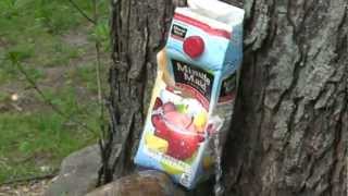ComTech Punch test 1
