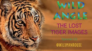 See never before seen amazing wild Tiger images from @wildmanrouse, hear the stories and be inspired