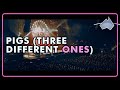 Pigs three different ones   pink floyd song covered by the australian pink floyd show