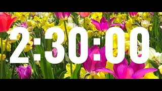 2 hour 30 minute timer  Spring Background