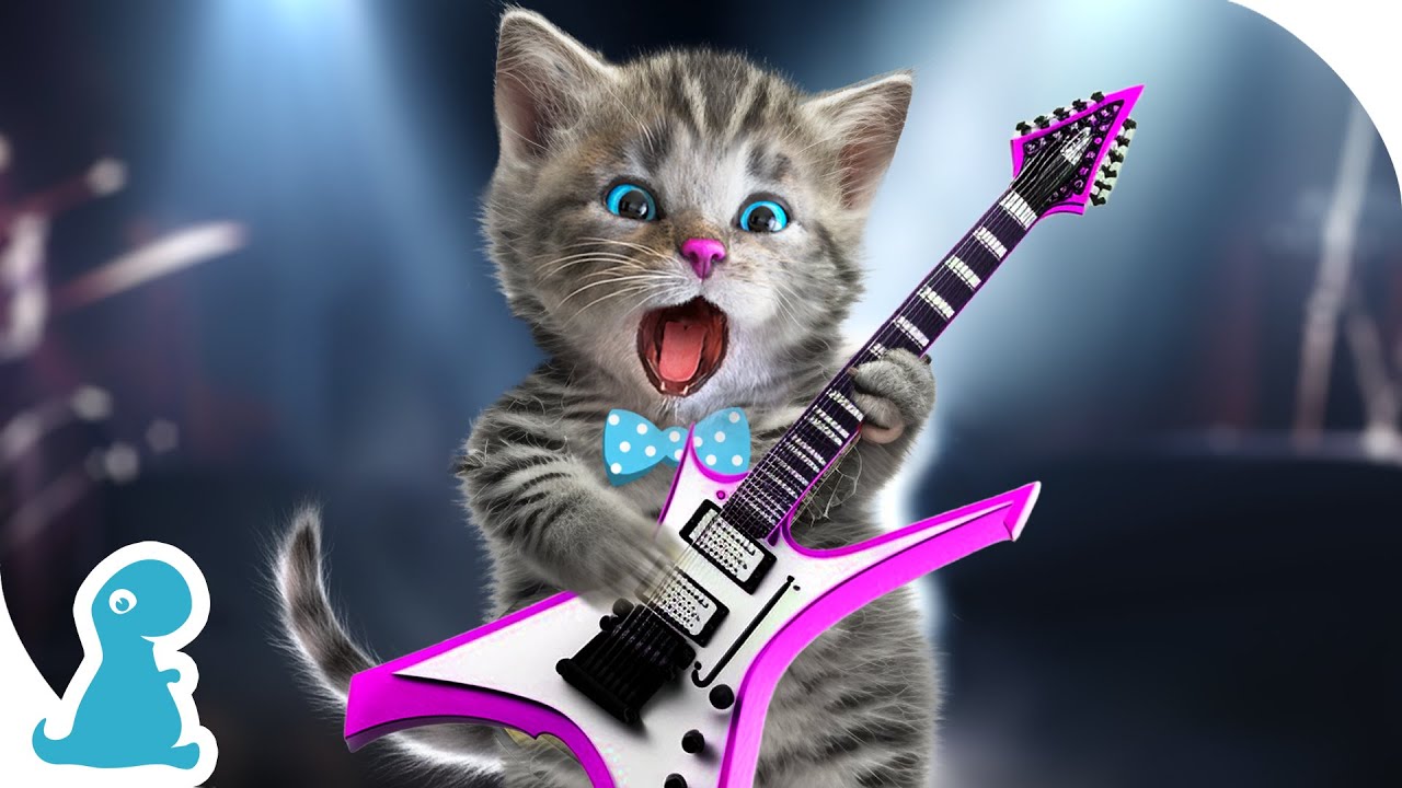 LITTLE KITTEN ADVENTURE CARTOON   KITTEN ROCK MUSIC KIDS FUN DANCE   MUSIC FOR KIDS