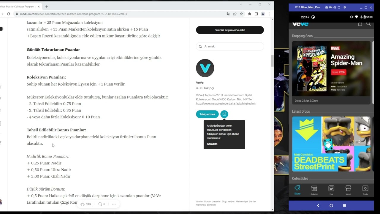 VEVE MASTER COLLECTOR PROGRAM TÜRKÇE