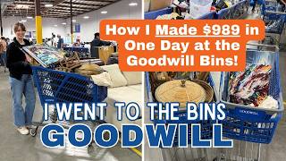 HOW I MADE $989 PROFIT AT THE GOODWILL BINS! | Thrift with Me for Resale