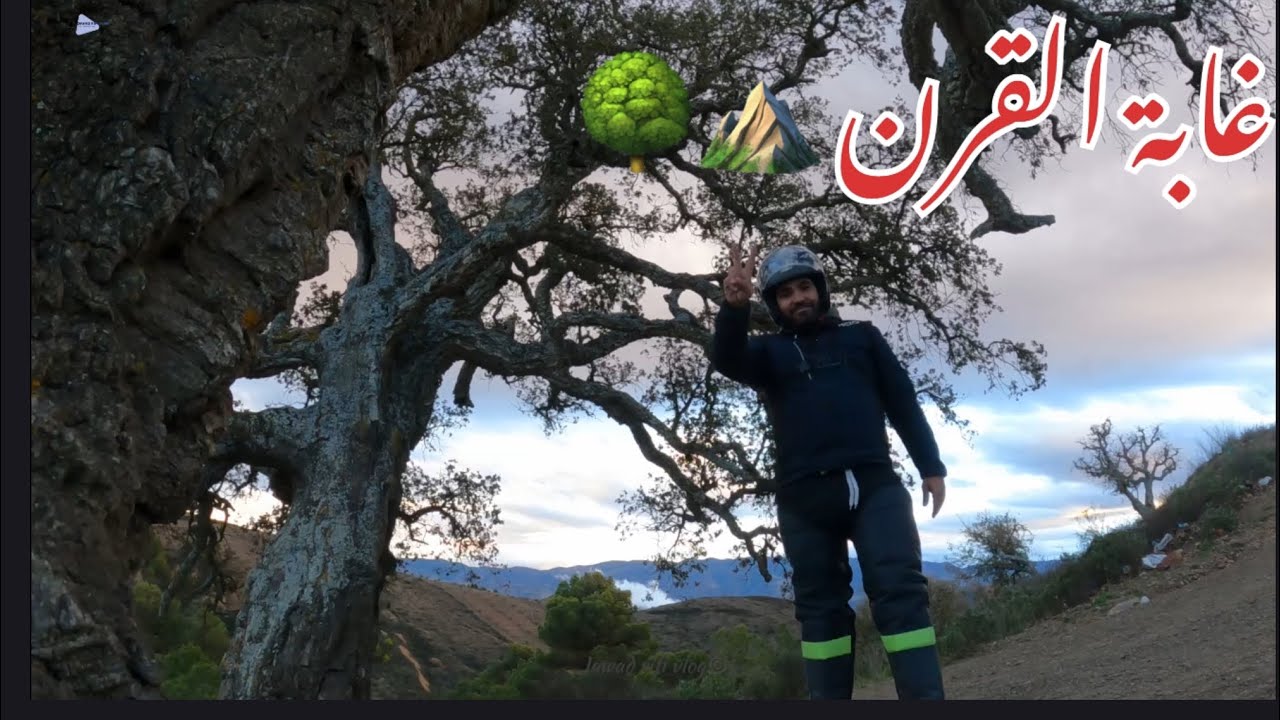 غابة 🌳 القرن ⛰️ جولة من امزورن مرورا ب إمرابطن ، إمازعان ، إقشوعن، ثم اكتشاف غابة القرن 😍16-1-2025