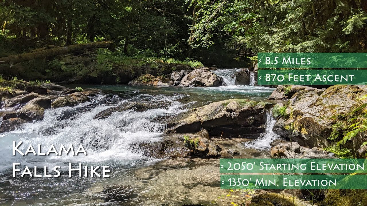Kalama Falls Hike Guide Cougar, Washington YouTube