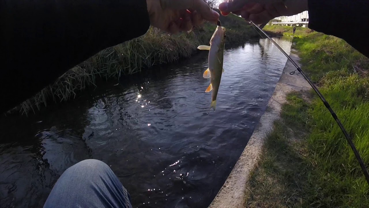 Pescuit la clean cu RtB Piacere - Pârâul Peța