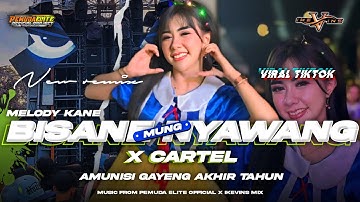 DJ BISANE MUNG NYAWANG X CARTEL VIRAL TIKTOK ‼️ PARTY GAYENG FULL BASS TERBARU