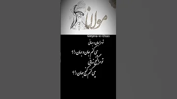 مولانا چقدر زیبا شعر میگوید تو مرا جان و جهانی چی کنم جان و جهان را 