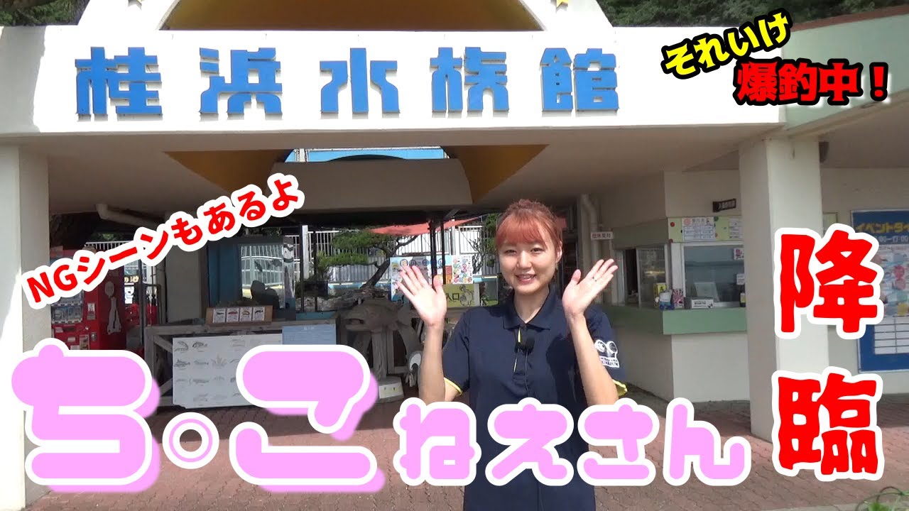 それいけ爆釣中 今回のそれいけ爆釣中は 桂浜水族館展示を見に行く ついでにもりちゃんスペシャルだ もちろんアレも言います Youtube