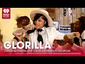 GloRilla Arrested For Felony Drug Charges In Georgia | Fast Facts