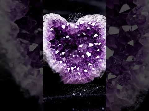 Desiccated desert flower slowly rehydrates and blooms into v #shorts #aireels #aishorts