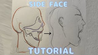 How To Draw Side Faces 2Min Tutorial