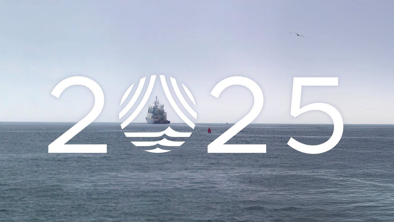 ВОЗ в 2025 году