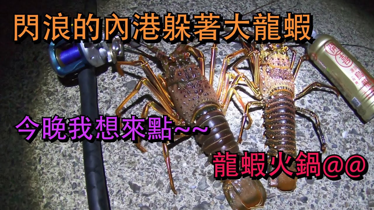 釣龍蝦神奇事件沒勾到蝦釣起龍蝦太神奇了 伊勢エビテトラ穴釣りのやり方how To Hook A Japanese Spiny Lobster 伊勢海老釣り 穴釣り