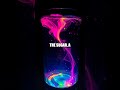 Unveiling the Secrets of Homemade Bioluminescence