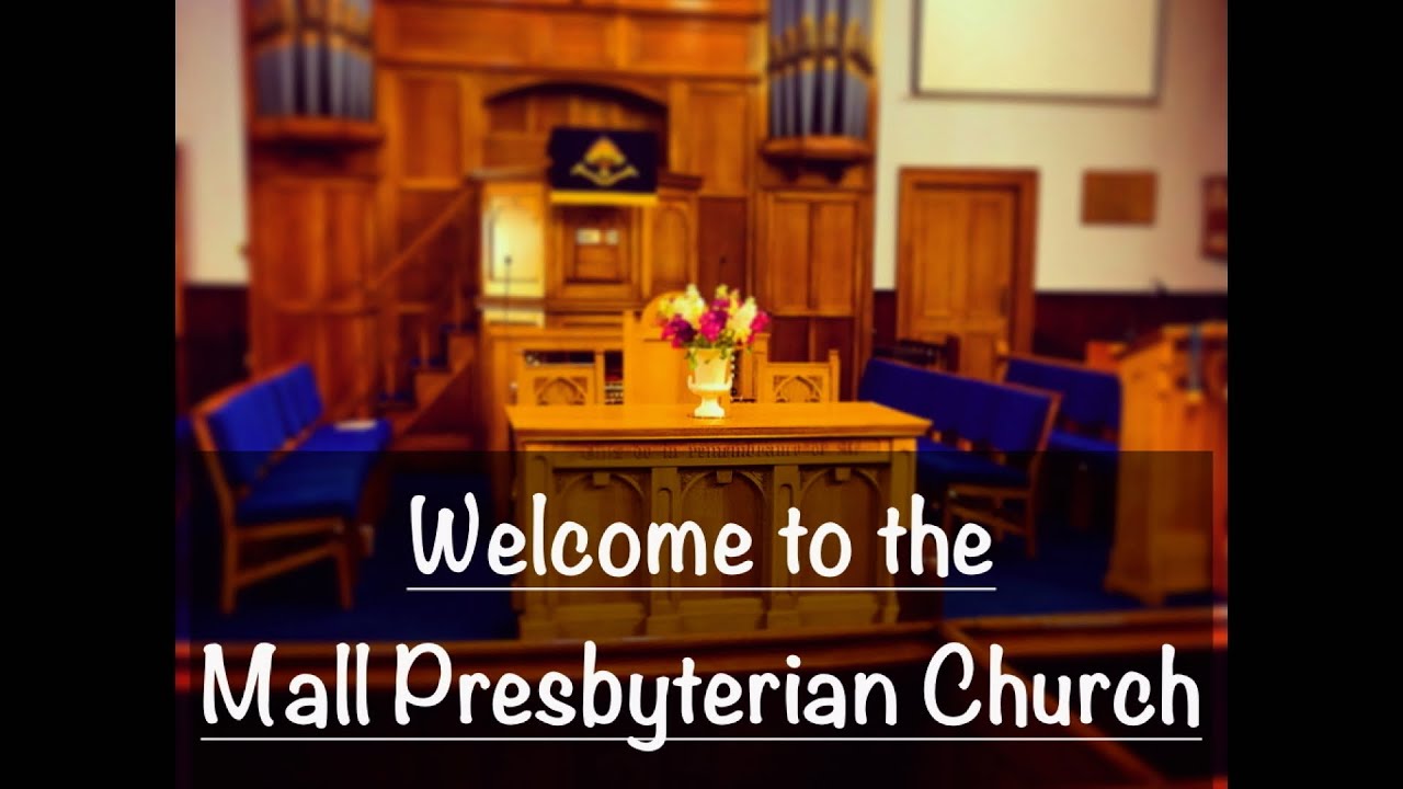 Sunday Morning 11th January