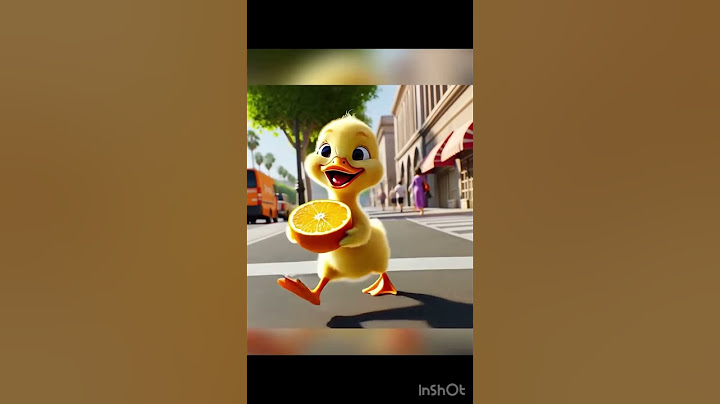 Cute duck accidentally broke the orange |CUTE |CUTECAT |AI |AICAT|