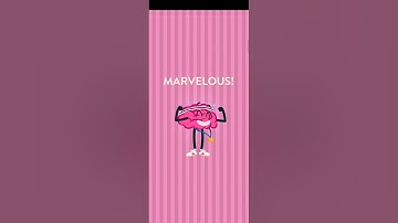 Wordbrain Super Summer Event August 17 2021 | Wordbrain Super Summer Event Answers