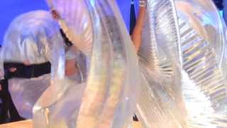Samar et les Etoiles d'Orient 2013/14 - Making off
