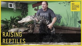 Raising Reptiles | Brian Barczyk SnakeBytesTV// 60 Second Docs