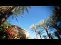 Cadence Council | 2017 Memory Reel