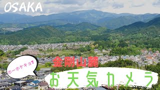 金剛山麓お天気ライブカメラ【Haru】2022.6.2
