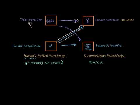 Video: Somatik quruluş nədir?