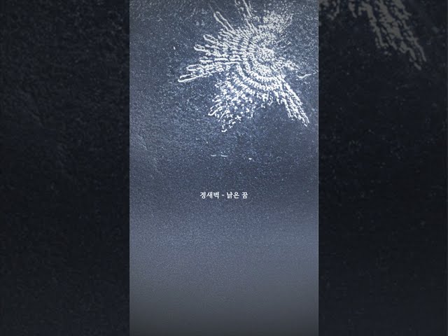 JeongSaebyeok - 정새벽(Jeong Saebyeok) - 낡은 꿈(Faded Dream) Official Lyric Video