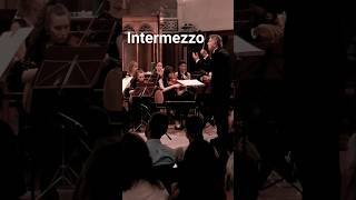 Intermezzo Cavalleria Rusticana #horstsohm &amp; #orchestra #intermezzo #music #classicalmusic #shorts