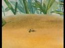 Мультфильм возвращение муравья домой